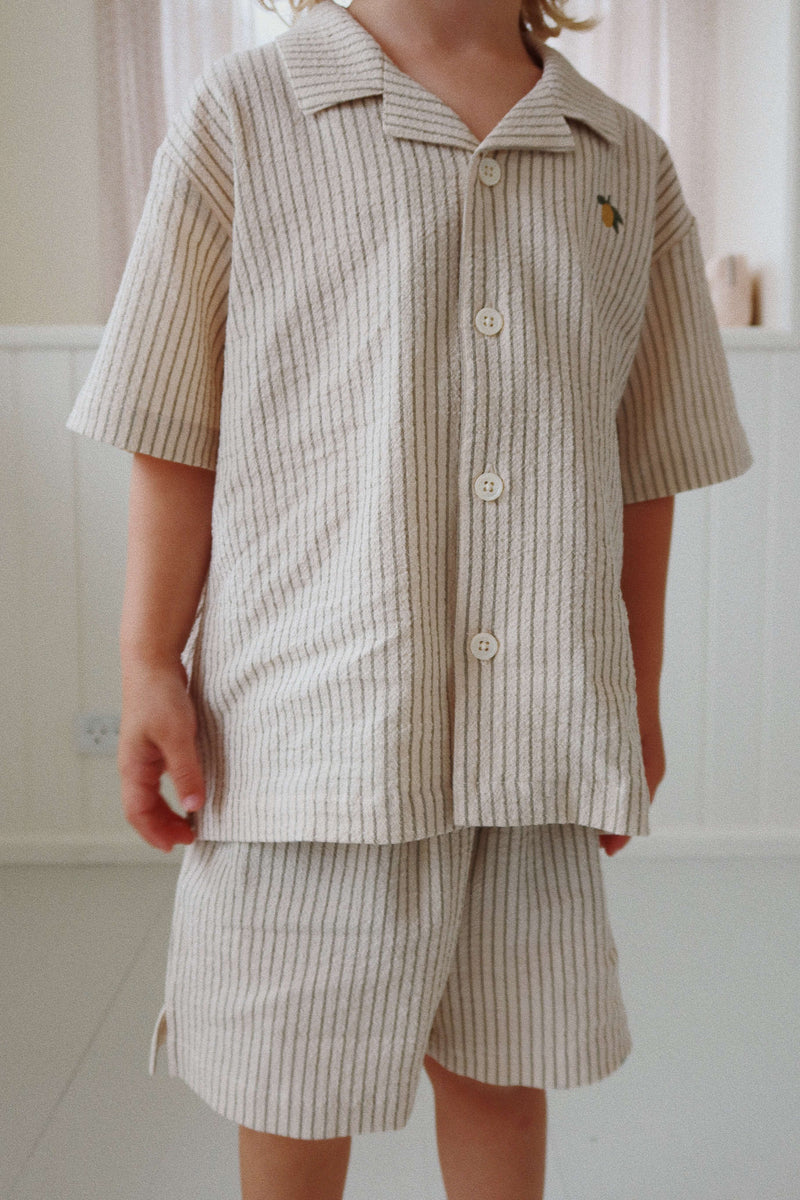 ELLIOT SS SHIRT GOTS-TEA STRIPE