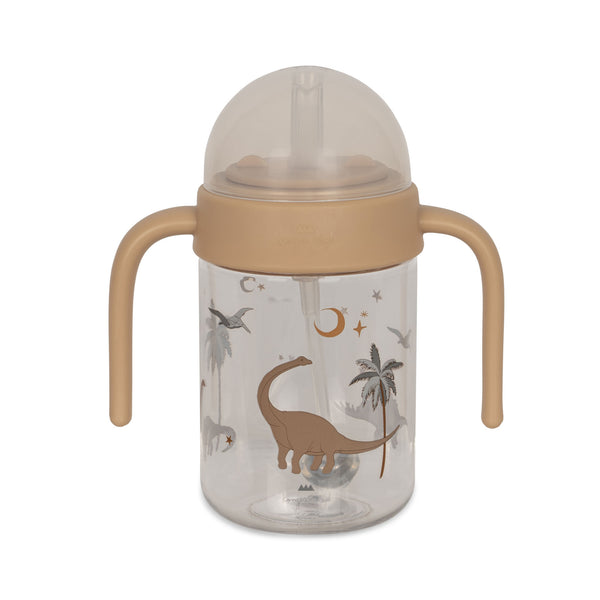 BOTTLE WITH HANDLE-DINO