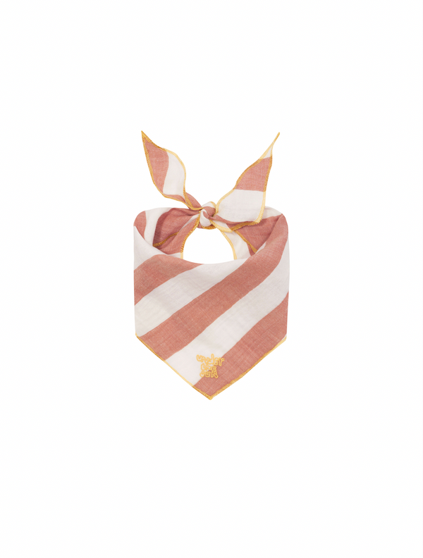 Sienna Stripes Scout Scarf