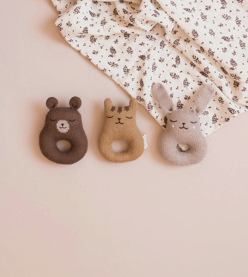 Teddy rattle