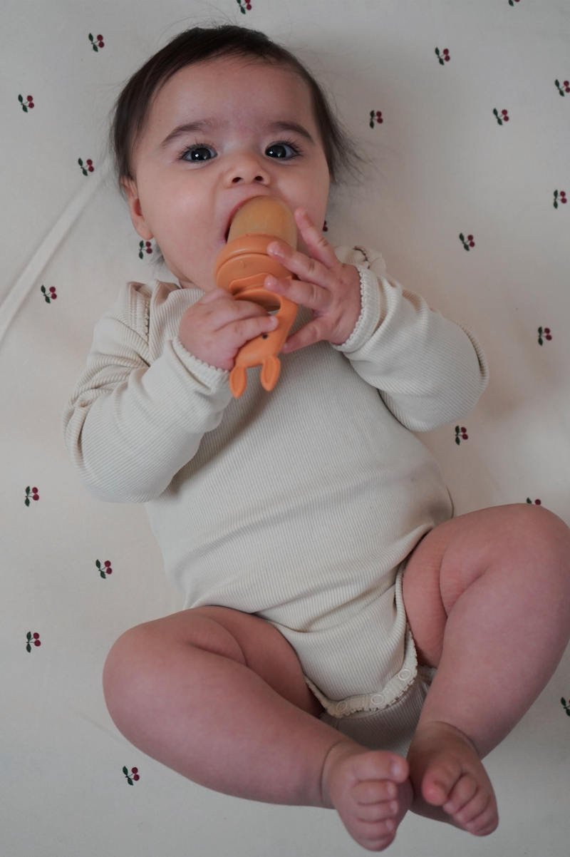 SILICONE FRUIT FEEDING PACIFIER BUNNY-咬咬樂 ALMOND/TERRACOTTA
